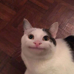 Robux發送地