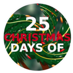 25 Days of Christmas Fun