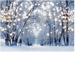 Alinas winter wonderland