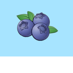 Berrie clxb