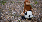 Monkey X Panda
