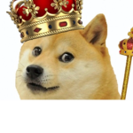 Doge king-dom