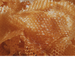 HONEY VISUALS