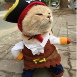 Captain_Teach