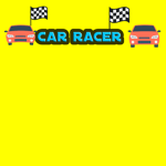 Car racers NEW