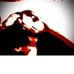 Dog meme studio