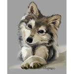 Wolf pack for everyone