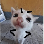 -%