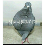 로벅스 받는 그룹