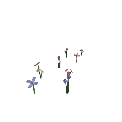 PINK FLOWERS UPDATED 2026