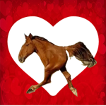 HORSE_SQUAD