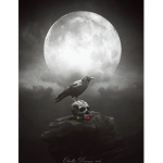 [:] Black Crow
