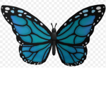 Fly!Butterflies!