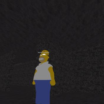 Hommer : Survive