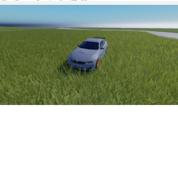 race