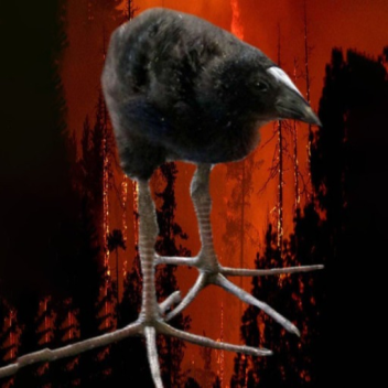 Pukeko Rng [Update 0.1]