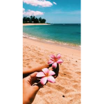 ~|HAWAII SQUAD~|