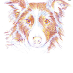 DOG FANS OF ROBLOX