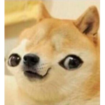 Eyy, Doge Bros!