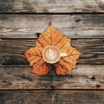 Seasons <3