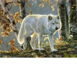 The WoodLand Wolves