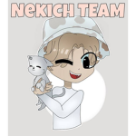 Nekich Groupe Roblox TT