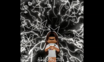 Lulus_cookies