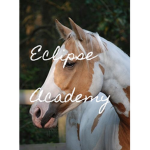 ~* Eclipse Academy *~