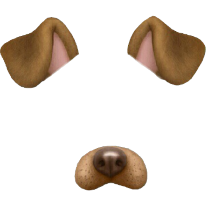 Dog Filter Roblox decal