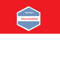 Wesley's Ninja Warrior (OFF)