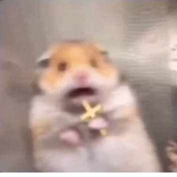 pooppoopopopopoppopopopoppopppp[opopopopopo