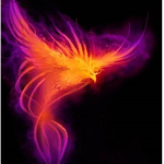 The Pheonix Boyz