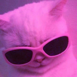 غغغغغغغ