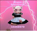 Bingus.Supremacy