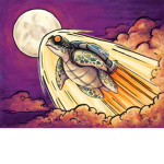 Galaxy Turtle