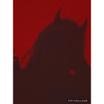 devilswinqs