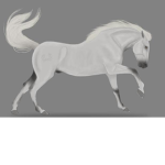 Horse riding clothes!
