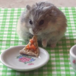 Pizza goes all the way