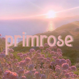 Primrose Homestore