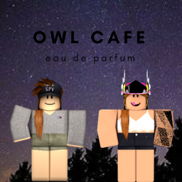 Owl Cafe Interview center