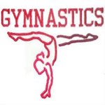 R&A Gymnastics
