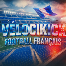 velocikick [french ultras]
