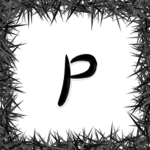 Parraxal Productions