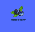 ~ Blueberry ~