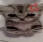 666 愛