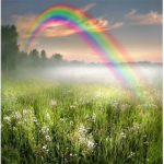 The Rainbows<3