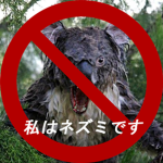 Anti-Koala Movement