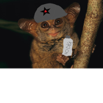 | monke gang |