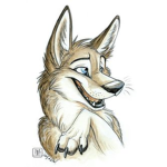 forest wolf pack