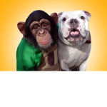 doggie & monke